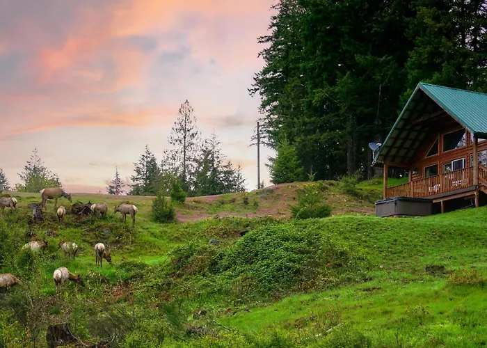 Mountain View Cabin, Hot Tub At White Pass Resort, Mt Rainier