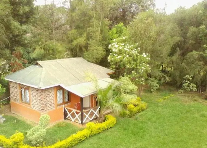 Steve'S Cottage-Homely