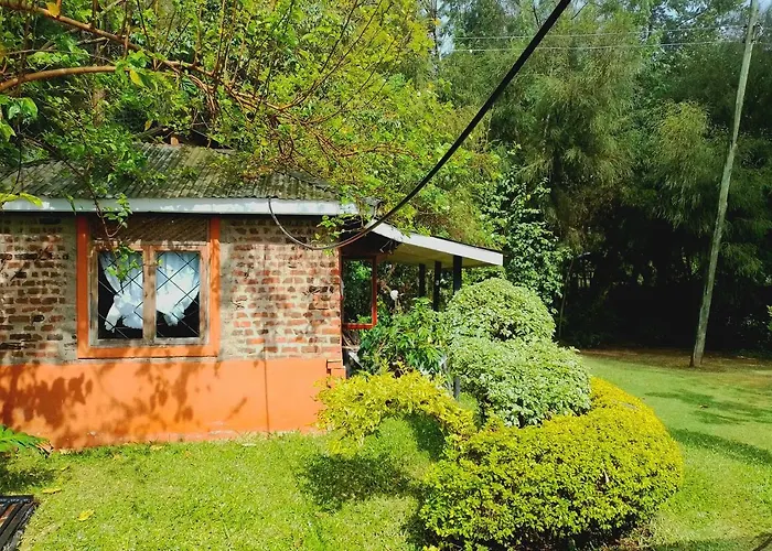 Steve'S Cottage-Homely