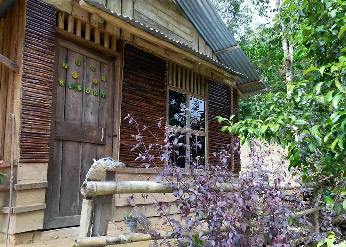Holiday Rental In Sumatra