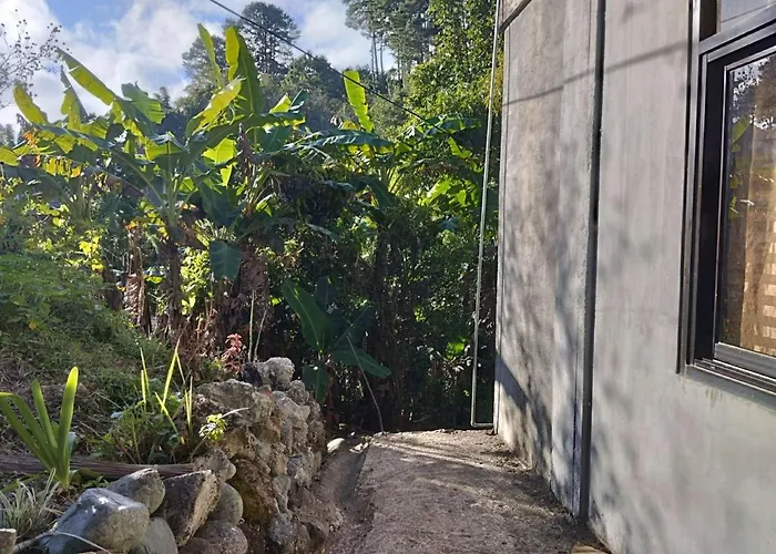 Ajjaa'S Place