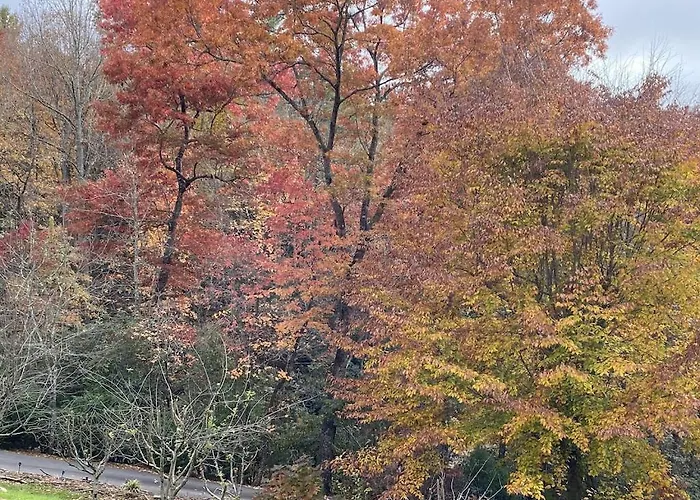 Beech Creek Cabin, Lower Unit, Black Mountain