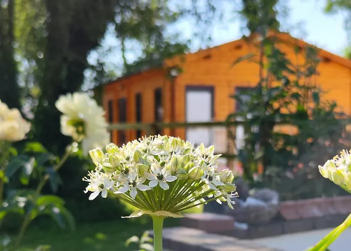 Desart School Garden Chalet