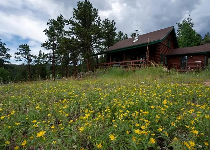 Warm Woodland Getaway With Land