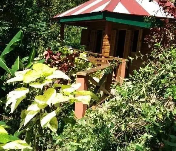 Berkey'S Jungle Paradise Resort