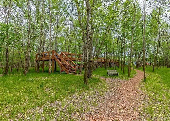 Cozy Cottage • 2 King Beds • Grove • Kayaks • Washer/Dryer
