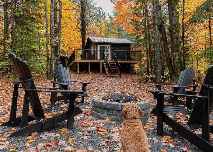 The Doma Lodge - Cozy Muskoka Cabin In The Woods