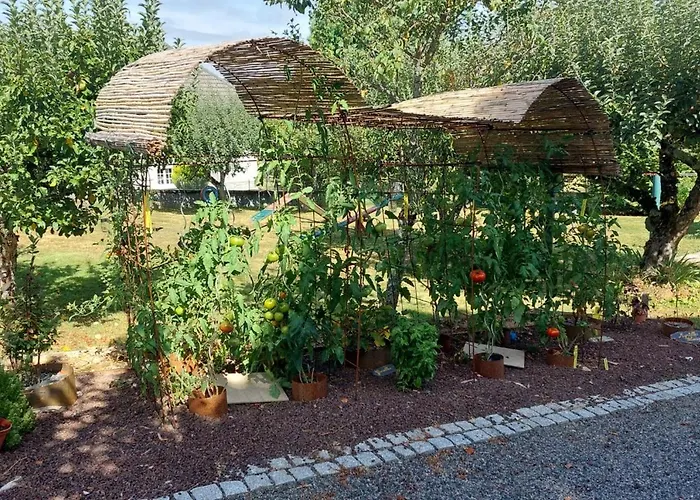 Chez Lili