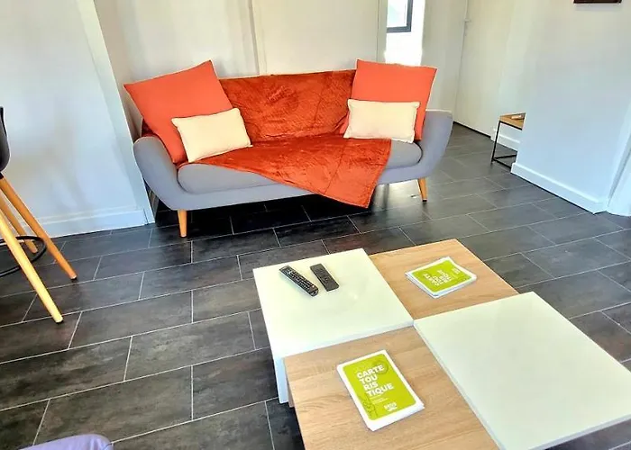 Wifi Clim Garage Jardin Bbq Cosy House