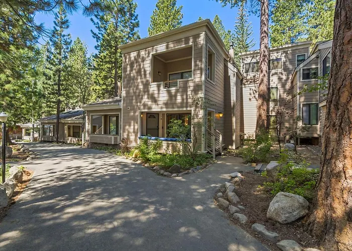 The Perfect Forest Pines Getaway