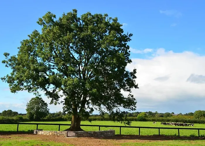 The Stable, Bennettsbridge, Kilkenny