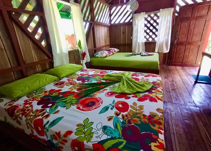 Alouatta Lodge And Canopy