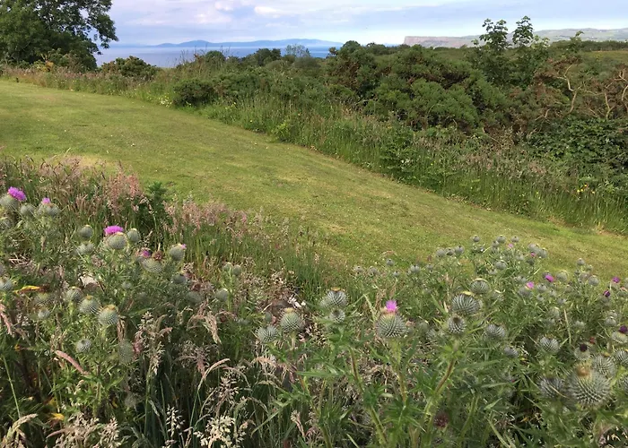 Causeway Coast Country Cottage, Pet-Friendly