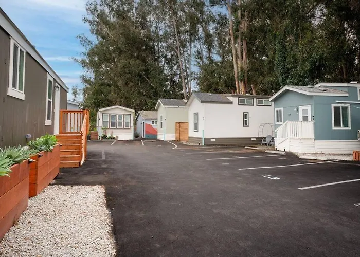 Modern 2-Bedroom Eucalyptus House
