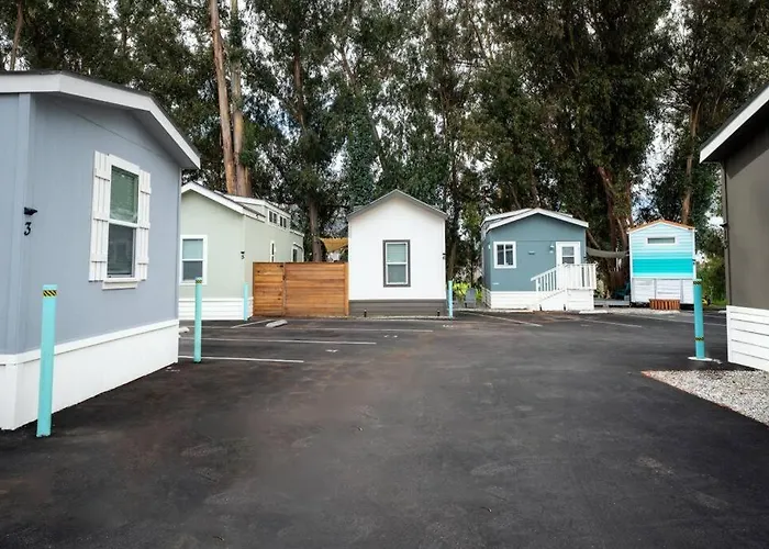 Modern 2-Bedroom Eucalyptus House