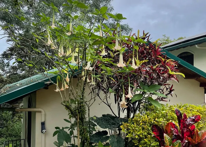 Mango Tree Villas