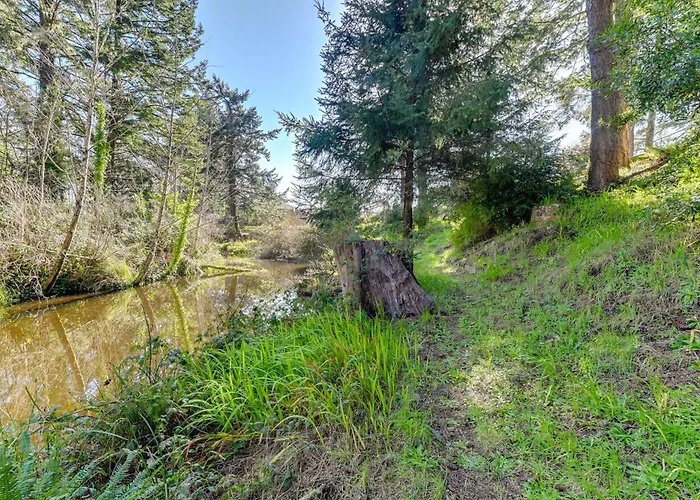 Fish On-Site & Explore Coos Bay! Creekfront Cabin