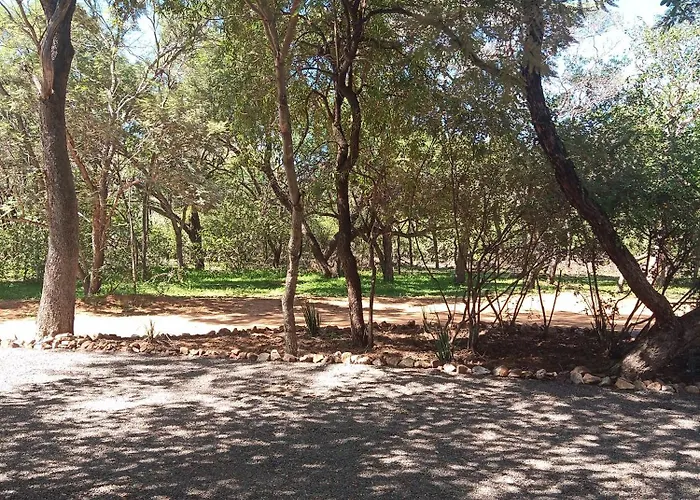 Woodpecker Villa