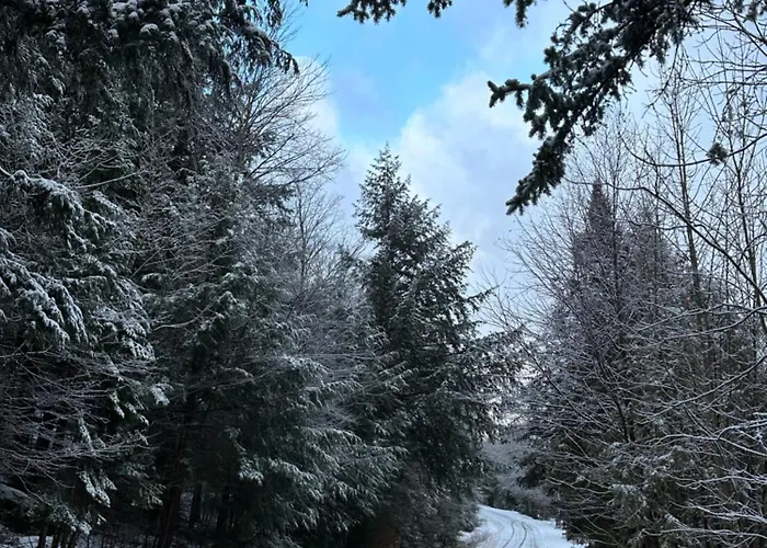Waterfront Haliburton, All Season, Fully Equipped Cottage! #Str-25-00252