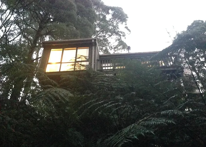 Sassafras Treehouse Private Home In The Dandenong Ranges, Victoria