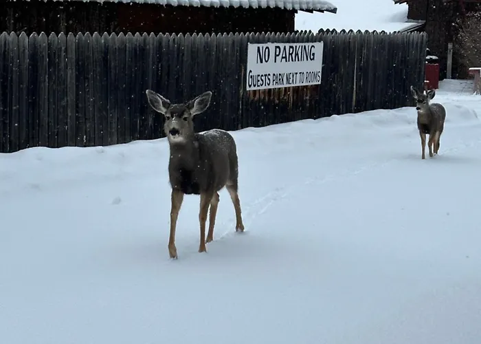 Deer Lodge