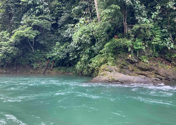 Villa Di Bukit Lawang: Localdailylife, Near Jungle