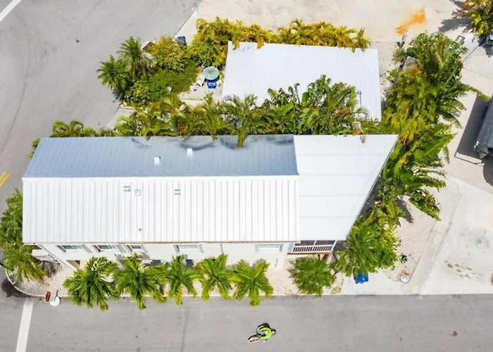 Tree Top Paradise