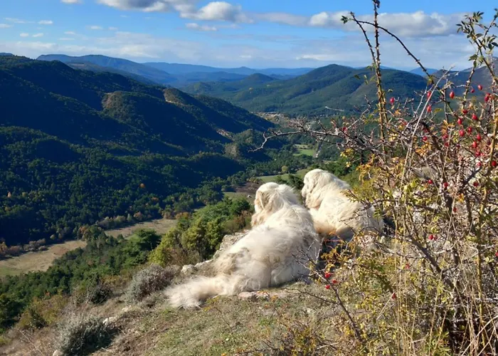 Gite La Mountagna