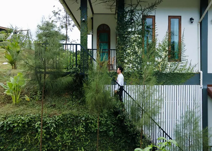 Magical Mountain View Resort