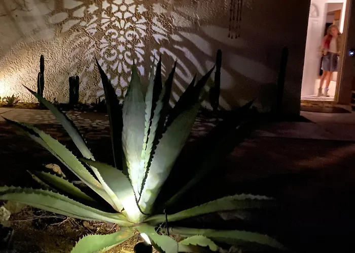 Electroliquid'S Casa Pueblo Joshua Tree