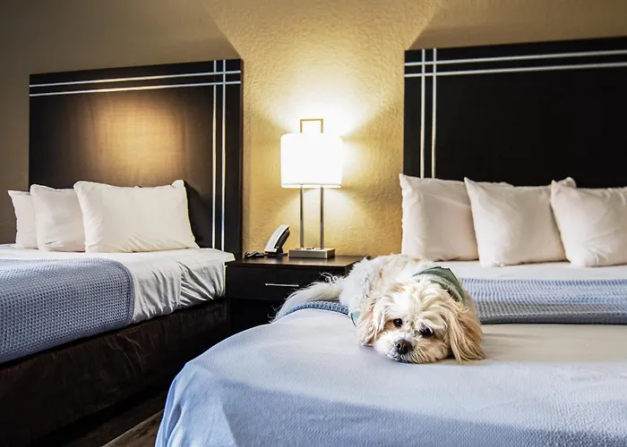 Econo Lodge Cleveland Southeast - Kent