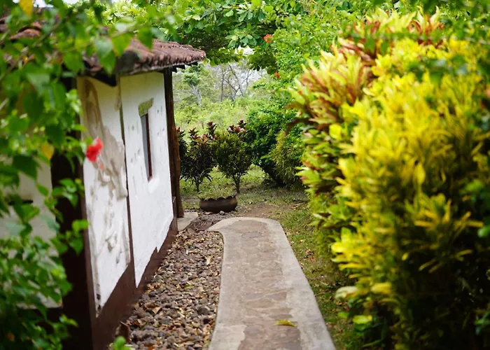 Finca Mystica