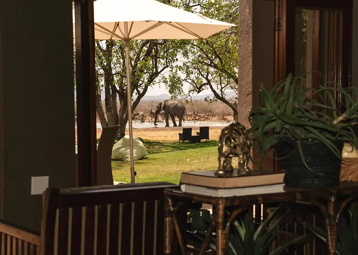 Last Word Madikwe