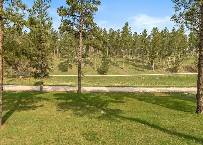 Elk Ridge Fire Place Custer
