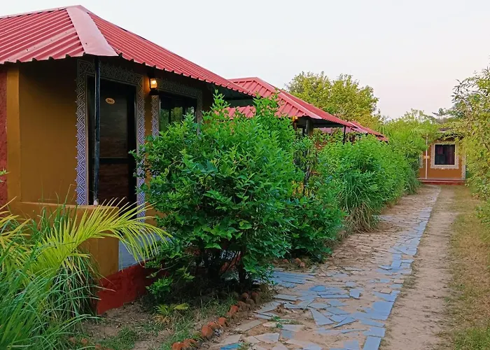Ranthambhore Tiger Valley