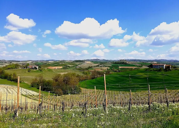 Agriturismo Bianconiglio Monforte dʼAlba