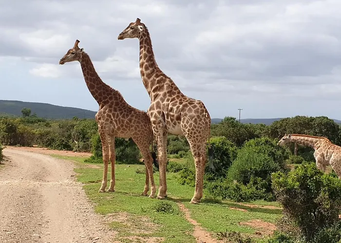 Valley Bushveld Country Lodge