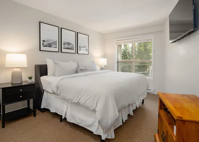 1 Bedroom Condo