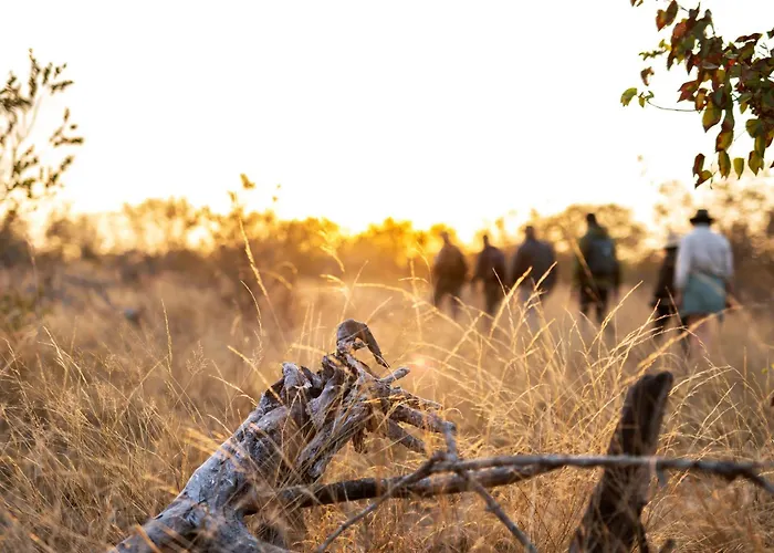 Simbavati Trails Camp
