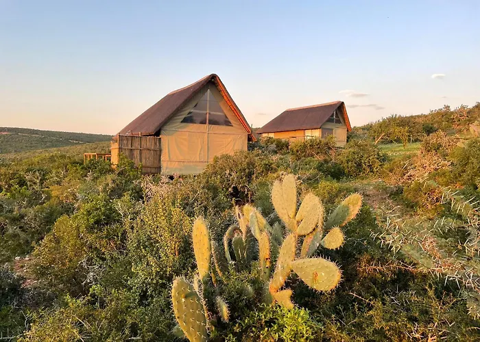 Harmony Luxury Tents & Safari
