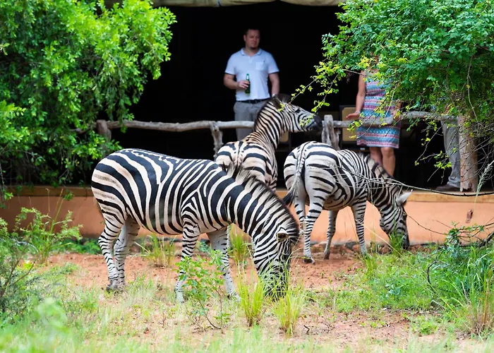 Leopard Walk Lodge