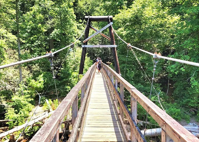 Luxury Cabin With Waterview And Privacy, Hiking