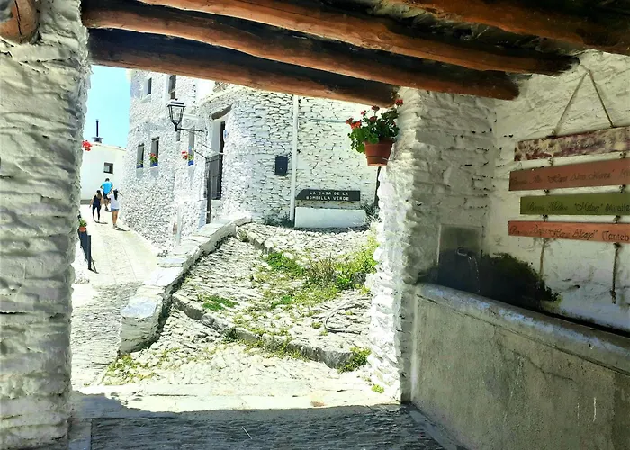 La Casa De La Bombilla Verde