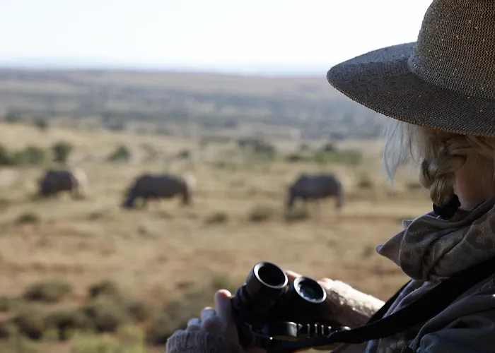 Bukela Game Lodge - Amakhala Game Reserve