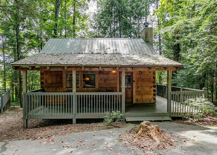 Dancing Bear Lodge