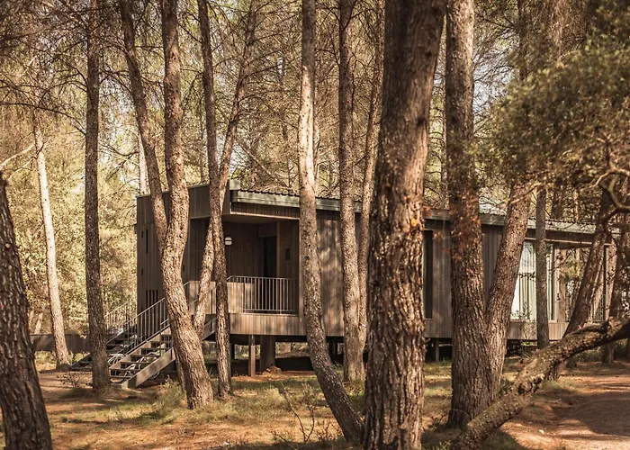 Les Cabanes De L'Oller Del Mas