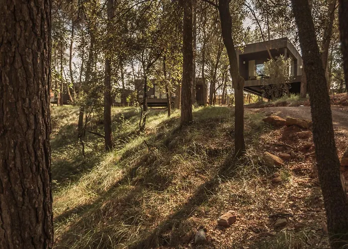 Les Cabanes De L'Oller Del Mas