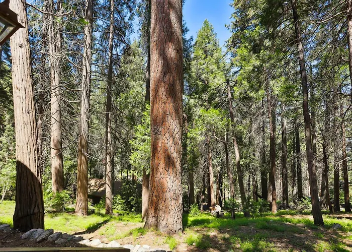 Twin Peaks Vacation Rental With Hot Tub!