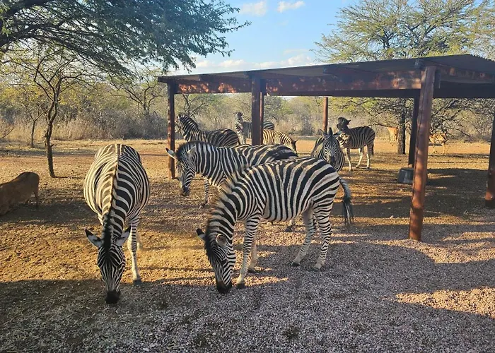 Makhato Bush Lodge 48