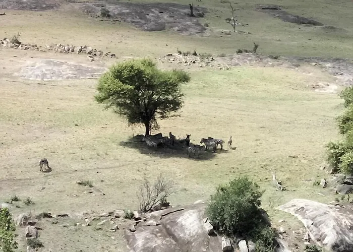 Lobo Wildlife Lodge